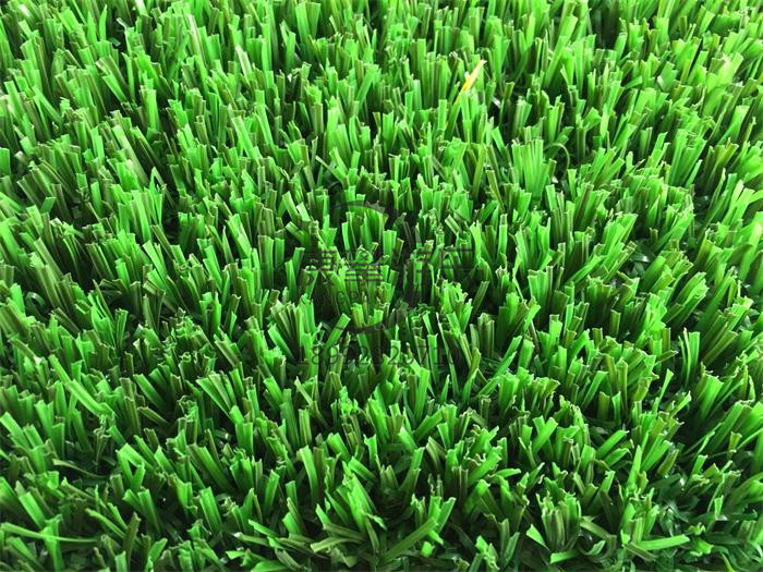 免填充人造草坪