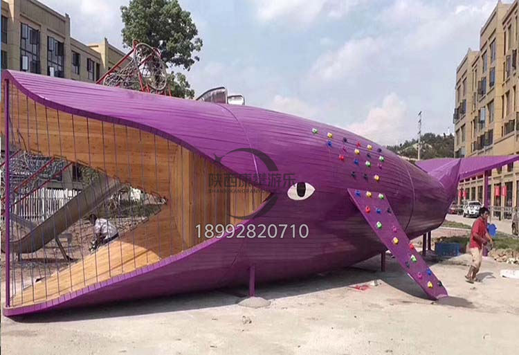 兒童游樂設(shè)備-鯊魚